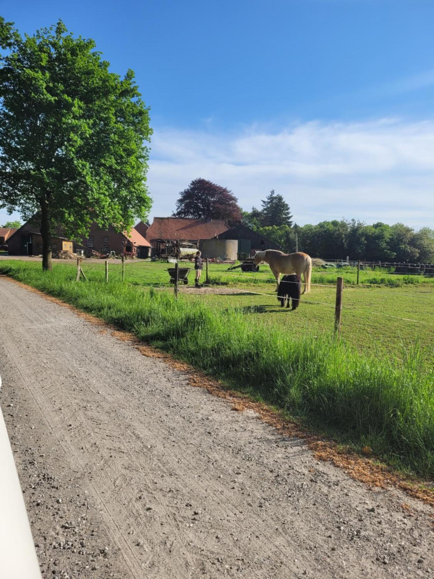 Reiterhof Jaegersburg Ferienwohnung Varel Exteriér fotografie